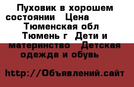 Пуховик в хорошем состоянии › Цена ­ 1 500 - Тюменская обл., Тюмень г. Дети и материнство » Детская одежда и обувь   